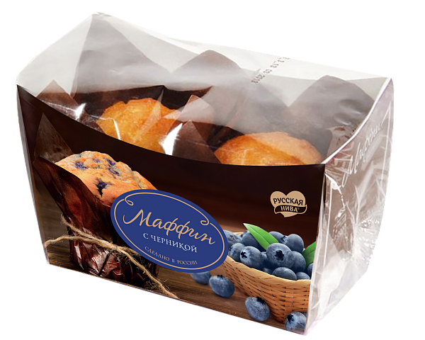 Maffins with blueberries